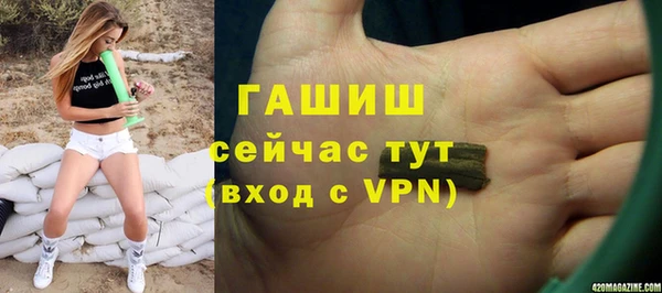 гашик Алексеевка