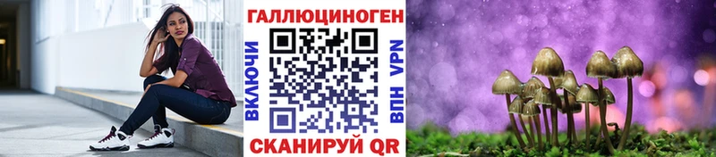 Псилоцибиновые грибы MAGIC MUSHROOMS  что такое наркотик  Заволжье 